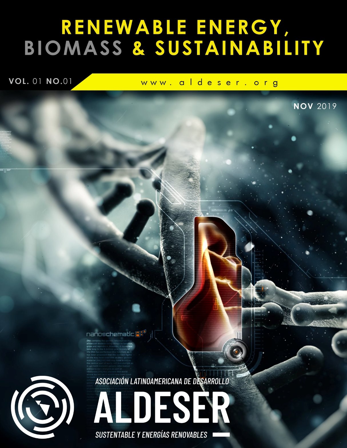 REB&S Vol. 1, No. 1 Cover